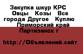 Закупка шкур КРС , Овцы , Козы - Все города Другое » Куплю   . Приморский край,Партизанск г.